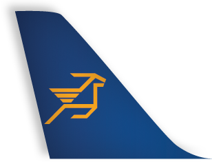 Airline partner logo